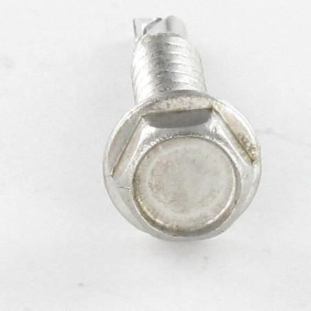 1 x Vite Autoperforante Testa Esagonale 3,9X19 Acciaio Inox A2