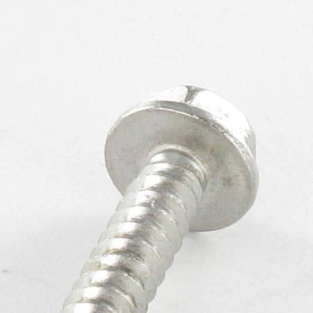 1 x Vite Autoperforante Testa Esagonale 3,9X19 Acciaio Inox A2