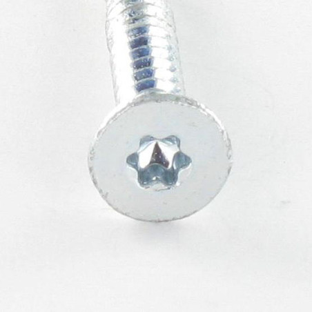 1 x Vite Autoperforante Bimetallo Testa Forata Dentellato T30 6,3X60