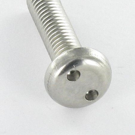 1 x Vite Per Metalli Di Sicurezza Testa Cilindrica SERPENTE OCCHIO M4X20 Acciaio Inox A2 EMBT8