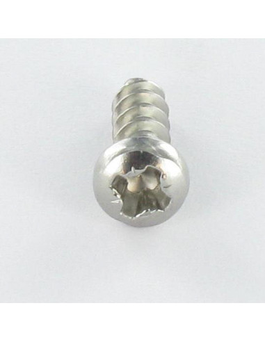 1 x Vite Pvc Testa Cilindrica Bombata Pozy 4x12...