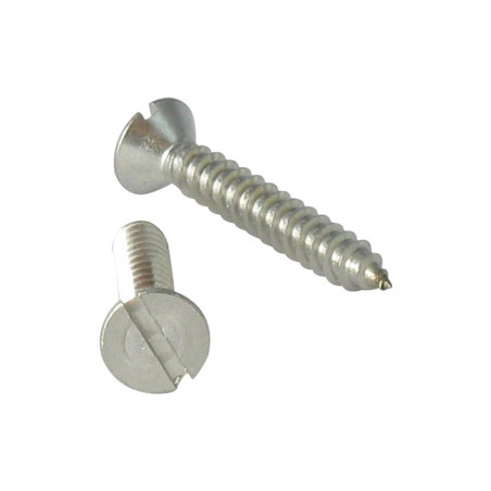 1 x Vite Per Legno E Truciolato Testa Forata Con Intaglio 4X25 Acciaio Inox A2