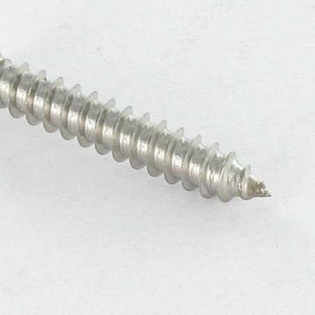 1 x Vite Per Legno E Truciolato Testa Forata Con Intaglio 4X25 Acciaio Inox A2