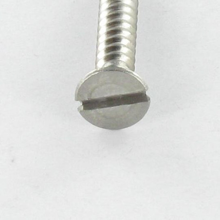 1 x Vite Per Legno E Truciolato Testa Forata Con Intaglio 4X25 Acciaio Inox A2