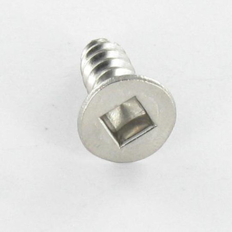 1 x Vite Per Lamiera Testa Forata Quadrato 4,2 x 13 Ingombro quadrato 2 Acciaio Inox A2