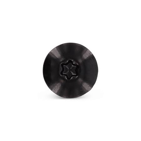 1 x Vite per facciata T20 4,8X32 Diametro Della Testa: 12.3 Acciaio Inox A2 Ral9005 Nero Intenso