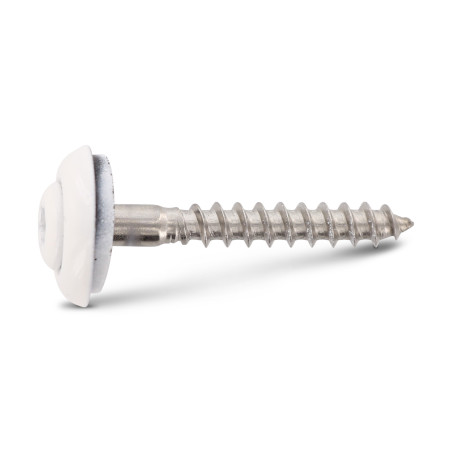 1 x Vite di cresta Testa Forata Bombata T20 Acciaio Inox A2 Ral9010 Bianco Puro 4,5X60 Rondella Di Tenuta Con Guarnizione
