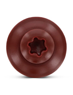 Vite di cresta Testa Forata Bombata T20 Acciaio Inox A2... 2