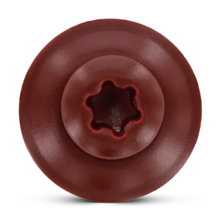 1 x Vite di cresta Testa Forata Bombata T20 Acciaio Inox A2 Ral3009 Rosso Ossido 4,5X100RD.EPDM