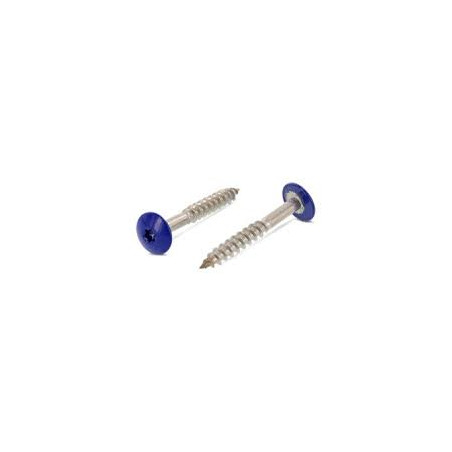 1 x Vite per facciata T20 4.8X25 Diametro Della Testa: 12.3 Acciaio Inox A2 RAL5002