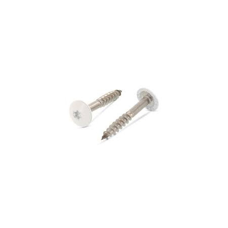 1 x Vite per facciata T20 5,5X32 Diametro Della Testa: 12.3 Acciaio Inox A2 Ral9010 Bianco Puro