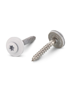 Vite di cresta Testa Forata Bombata T20 Acciaio Inox A2...