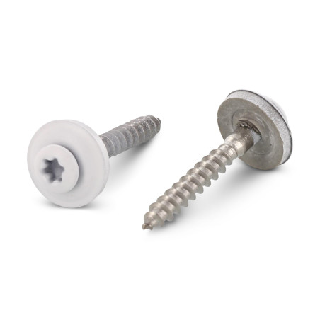 1 x Vite di cresta Testa Forata Bombata T20 Acciaio Inox A2 Ral9010 Bianco Puro 4,5X100RD.EPDM