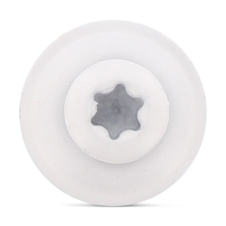 1 x Vite di cresta Testa Forata Bombata T20 Acciaio Inox A2 Ral9010 Bianco Puro 4,5X100RD.EPDM