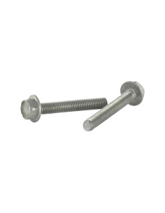 Vite Per Metalli Testa Esagonale Flangia Liscia M6X50...