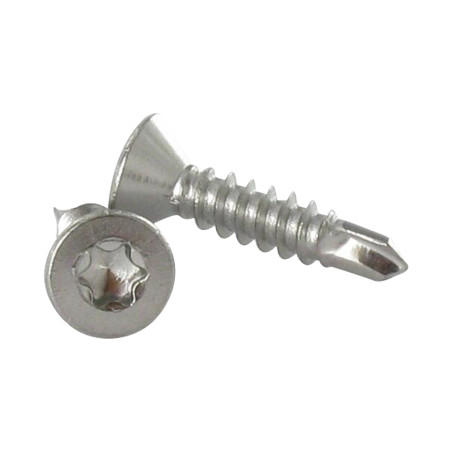 1 x Vite Autoperforante Acciaio Inox A2 Testa Forata 4,2 x 38 T20