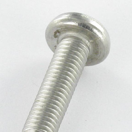 1 x Vite Per Metalli Di Sicurezza Testa Cilindrica SERPENTE OCCHIO M4X30 Acciaio Inox A2 EMBT8