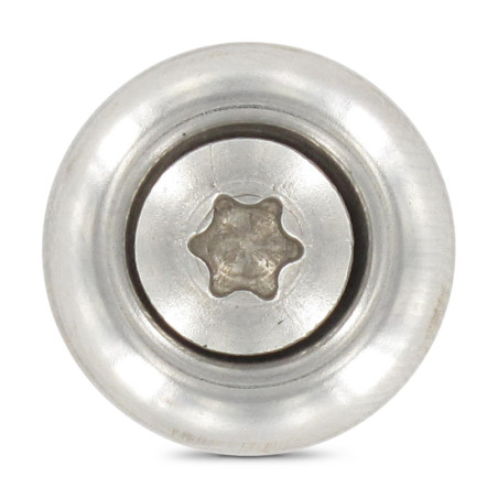 1 x Vite di cresta Testa Forata Bombata T20 Acciaio Inox A2 4,5X60 Rondella Di Tenuta Con Guarnizione In Neoprene Epdm 3P