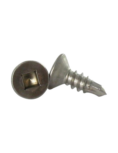 1 x Vite Autoperforante Acciaio Inox A2 Testa...