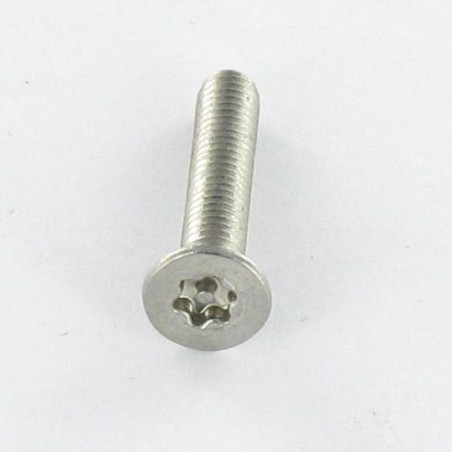 1 x Vite Per Metalli Acciaio Inox A2 Di Sicurezza Testa Forata T20 con perno M4X10