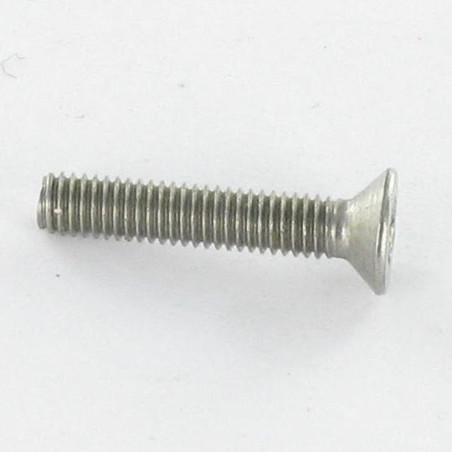 1 x Vite Per Metalli Acciaio Inox A2 Di Sicurezza Testa Forata T20 con perno M4X10