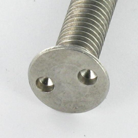 1 x Vite Per Metalli Di Sicurezza Testa Forata SNAKE EYES M4X10 Acciaio Inox A2