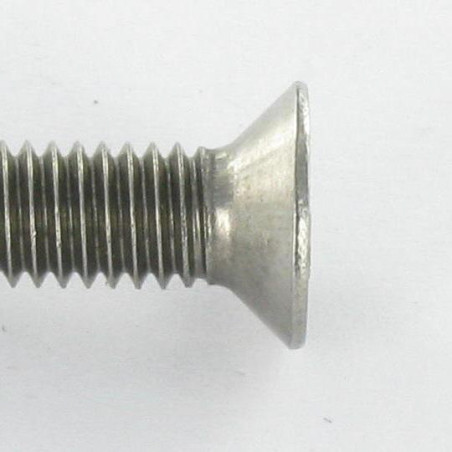 1 x Vite Per Metalli Di Sicurezza Testa Forata SNAKE EYES M4X10 Acciaio Inox A2