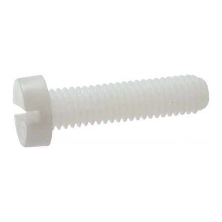 1 x Vite Per Metalli Testa Cilindrica Larga Con Intaglio M6X10 naturale nylon