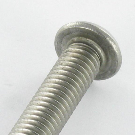 1 x Vite Per Metalli Di Sicurezza Bei (Testa Bombata Esagono Incassato) con perno M6X20 Acciaio Inox A2