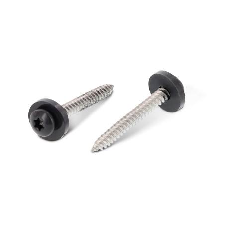 1 x Vite Per Lamiera Testa Cilindrica T15 + Rondella Nylon 3,9X32 Acciaio Inox A2 Ral7016 Grigio Antracite