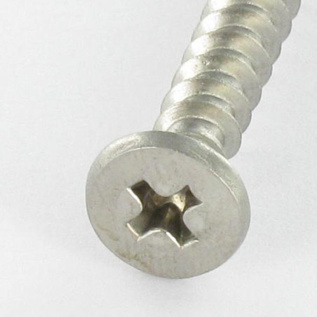 1 x Vite Per Pvc Acciaio Inox A2 Testa Cilindrica Phillips 5X46