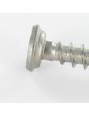 1 x Vite Per Pvc Acciaio Inox A2 Testa...