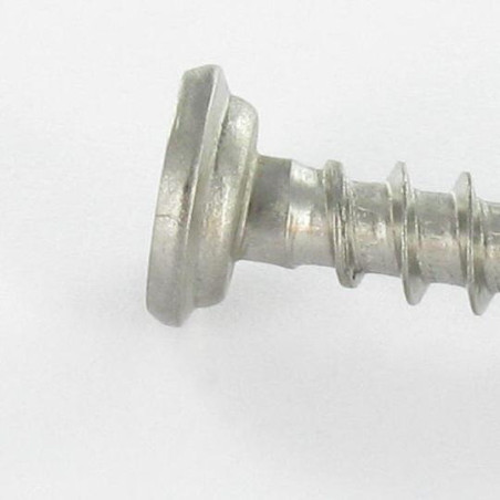 1 x Vite Per Pvc Acciaio Inox A2 Testa Cilindrica Phillips 5X46
