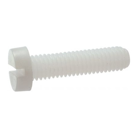 1 x Vite Per Metalli Testa Cilindrica Con Intaglio M12X50 naturale nylon