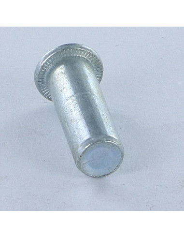 1 x Dado rivettabile Testa Piatta Cieca M6X20.5...