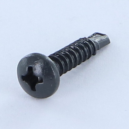 1 x Vite Autoperforante Testa Cilindrica Bombata Phillips 3,9X19 Filetto A Lamiera Zincate LAQ Ral7016 Grigio Antracite