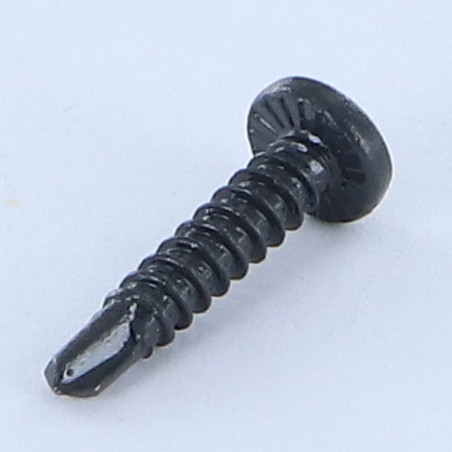 1 x Vite Autoperforante Testa Cilindrica Bombata Phillips 3,9X19 Filetto A Lamiera Zincate LAQ Ral7016 Grigio Antracite
