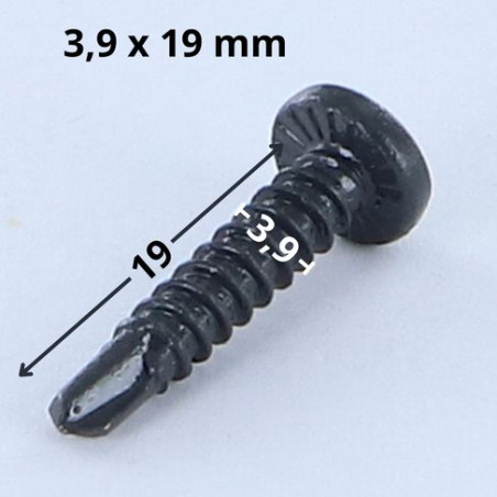 1 x Vite Autoperforante Testa Cilindrica Bombata Phillips 3,9X19 Filetto A Lamiera Zincate LAQ Ral7016 Grigio Antracite