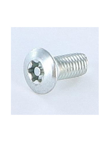 1 x Vite Autofilettante Di Sicurezza 5X12 Testa...