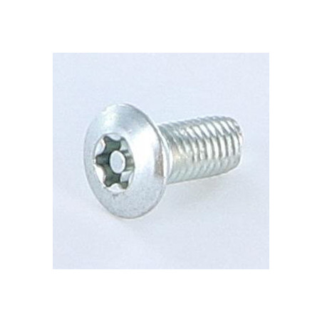 1 x Vite Autofilettante Di Sicurezza 5X12 Testa Forata Bombata T25+TETON Zincate