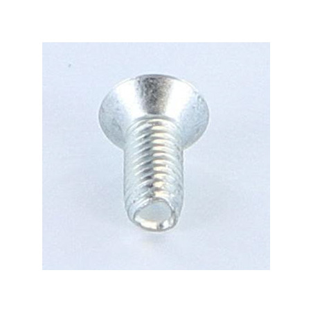 1 x Vite Autofilettante Di Sicurezza 5X12 Testa Forata Bombata T25+TETON Zincate