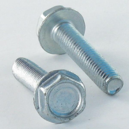 1 x Vite Autofilettante Testa Esagonale Flangia Liscio M10X40 Zincate