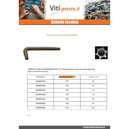 1 x Chiave Per Vite Di Sicurezza TORX T45 Acciaio Grezzo