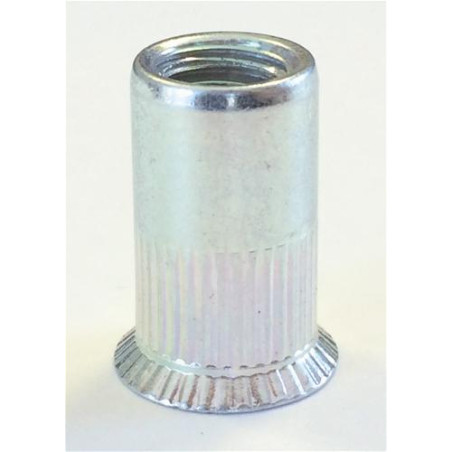 1 x Dadi Rivettabili Testa Forata M6 ALFC 45 Alluminio