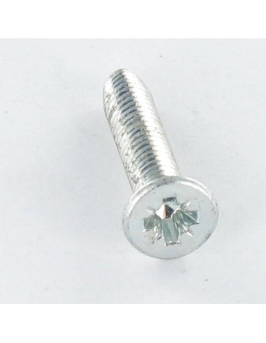1 x Vite Autofilettante Testa Forata M3.5X20...