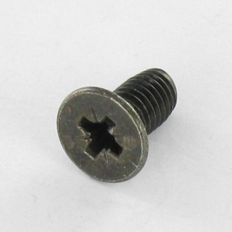 1 x Vite Autofilettante Testa Forata M4X10 Pozi PZ5 Acciaio Zincato Nero