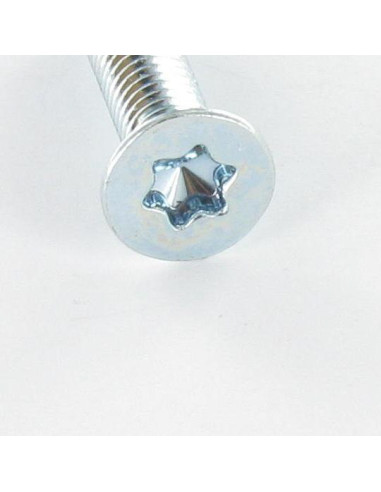 1 x Vite Per Metalli Testa Forata T25 M5X12...