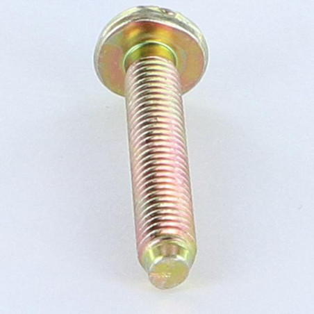 1 x Vite Per Metalli Testa Cilindrica Larga Con Intaglio M6X35 BP Bicromato