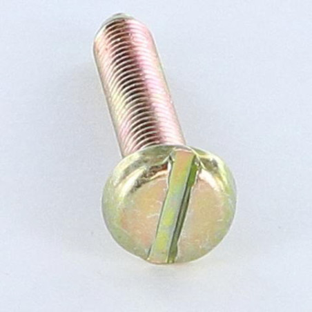 1 x Vite Per Metalli Testa Cilindrica Larga Con Intaglio M6X35 BP Bicromato