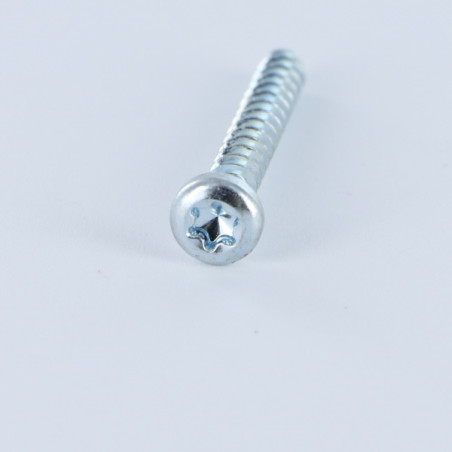 1 x Vite Per Pvc Testa Cilindrica T10 3X10 Zincate microviti